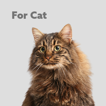 Cat food