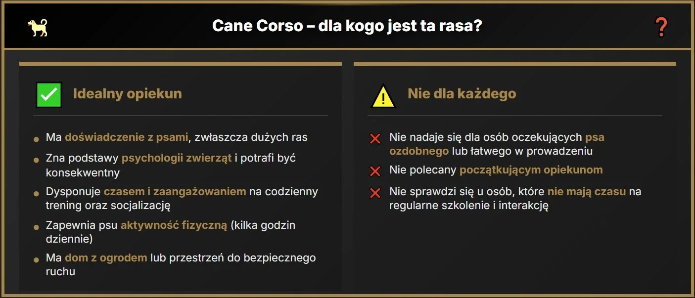 Cane Corso – Who Is This Breed For??