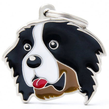 Engraved ID Tag for a Bernese Mountain Dog