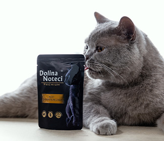 IconDelicious food for every cat