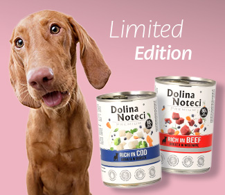 IconDolina Noteci Premium Limited Edition