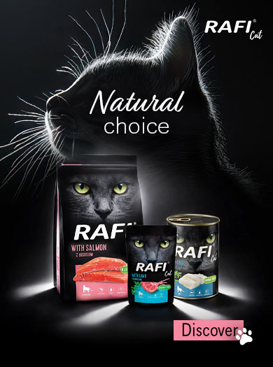 Natural Choice for cats. Rafi Cat