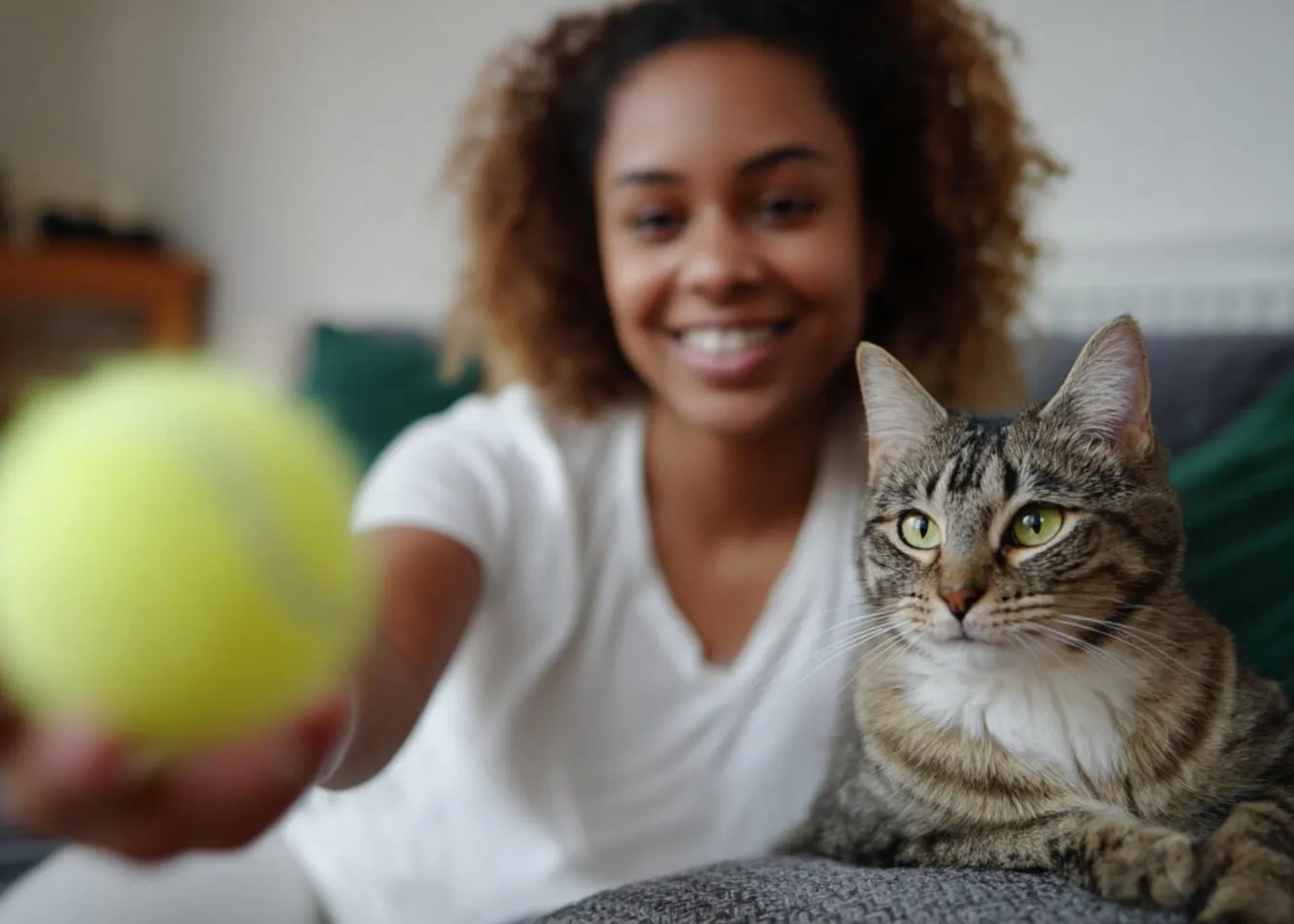 How can you play with your cat to satisfy its hunting instinct?