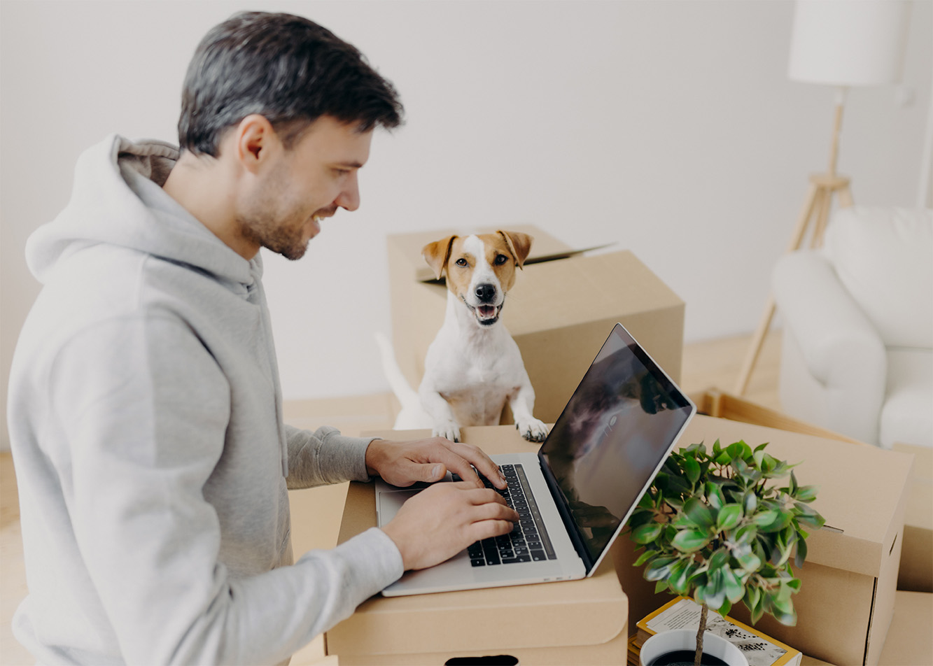 Dog and cat food subscriptions – stress-free, regular deliveries of your pet’s favorite food