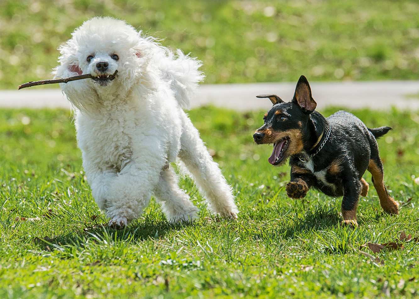 Where does fun end and conflict begin?