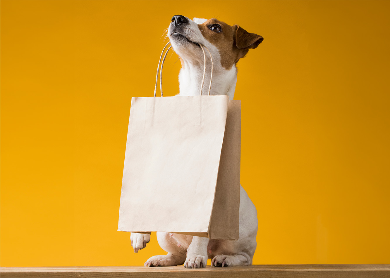 Do you know what your dog likes as a treat?