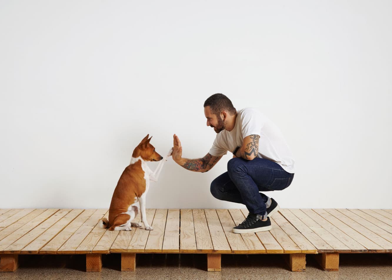 Planning a training session for your dog