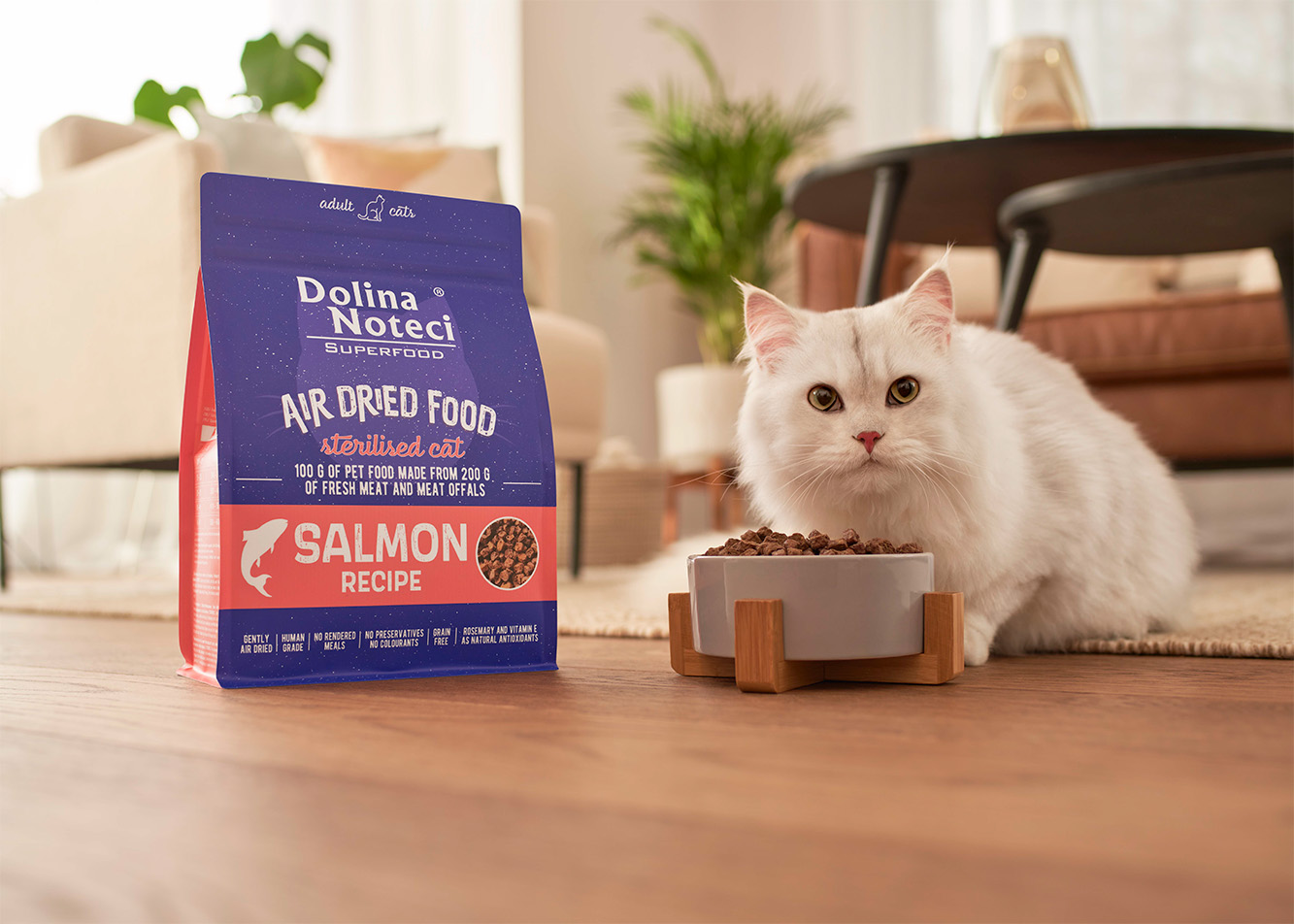 What is dry cat food?