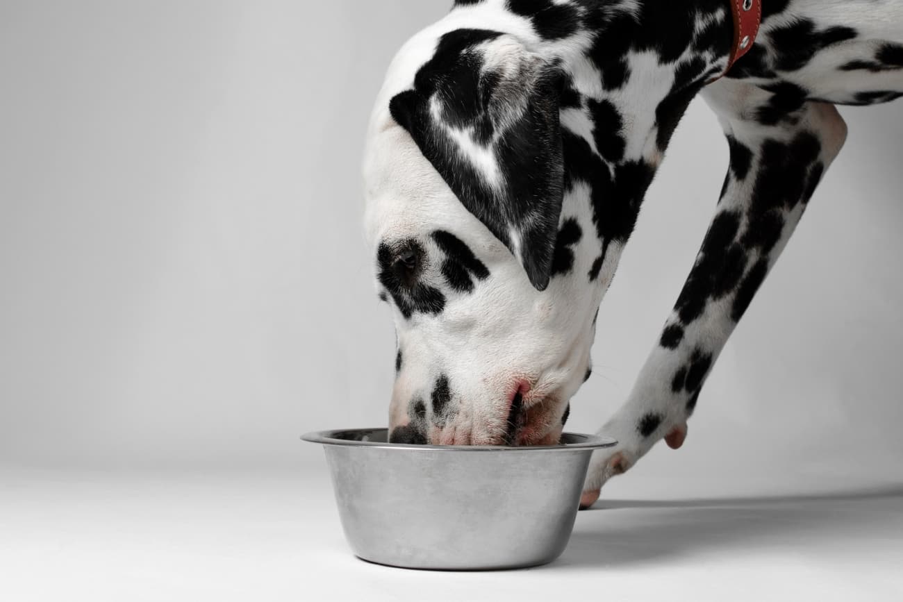Why You Should Include Offal in Your Dog's Diet?