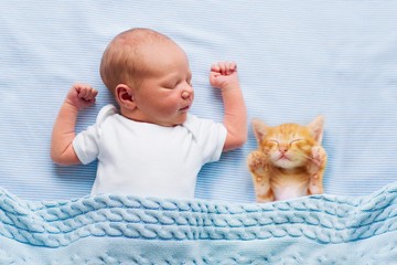 A Baby and a Cat: How to Prepare Your Cat for a New Baby?
