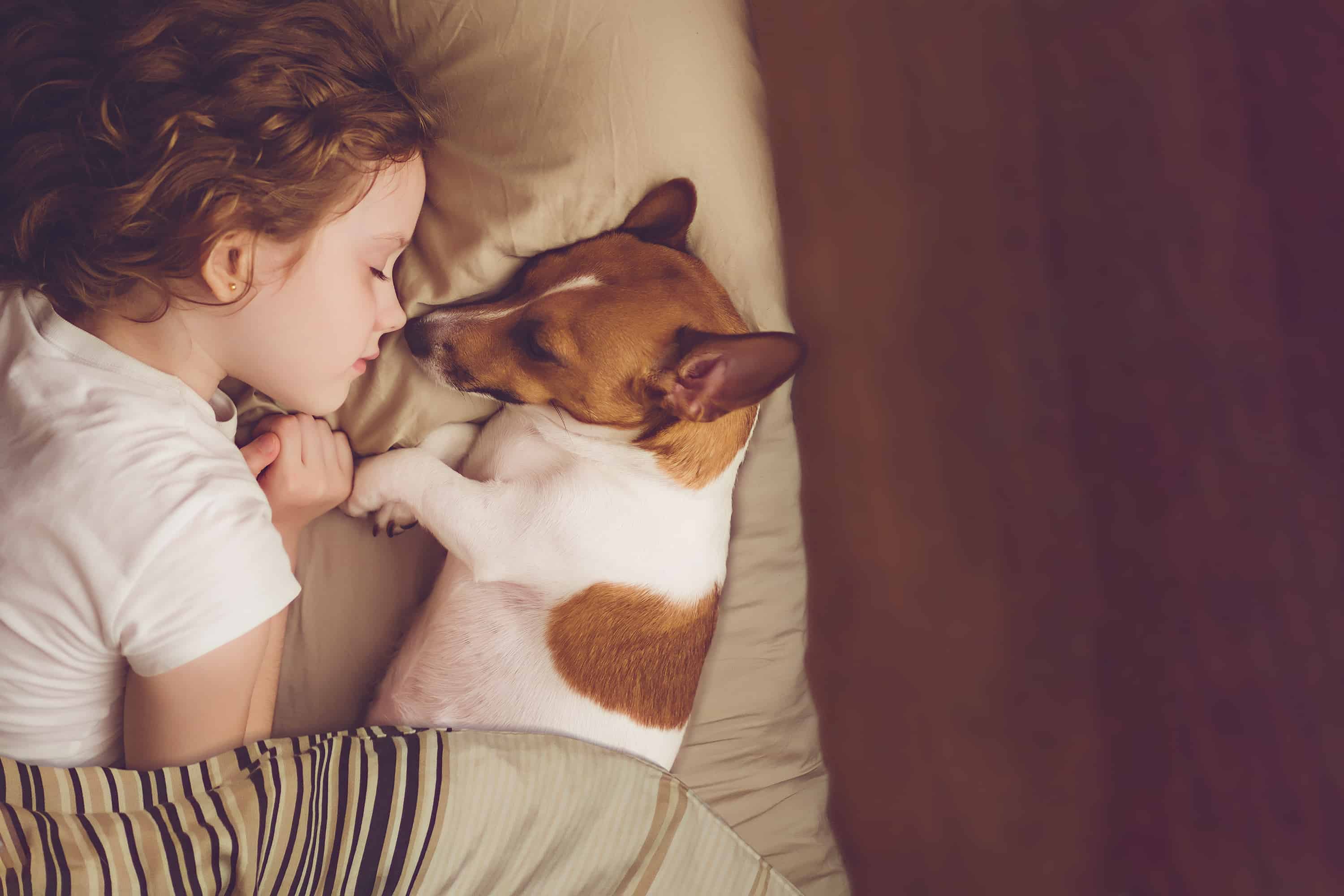 What dog breeds are best for children?