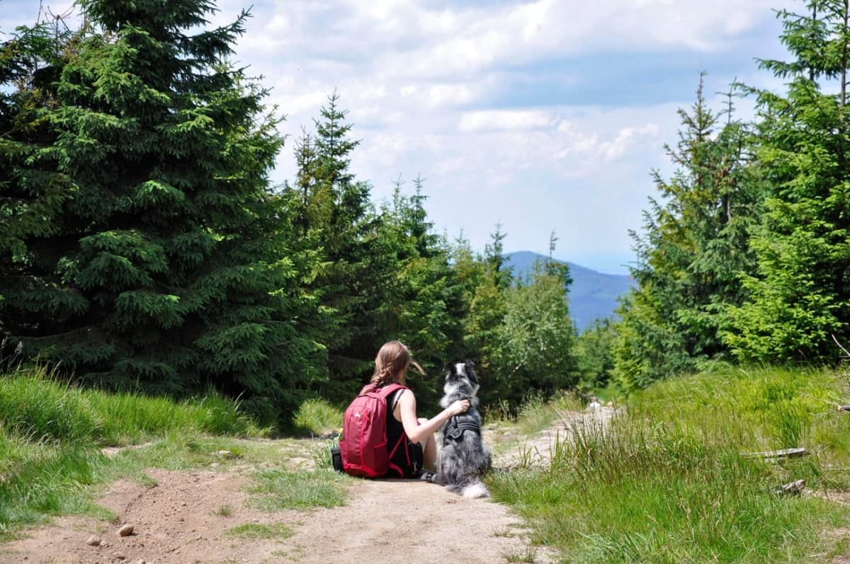 A vacation with your dog can be fun—plan an active one