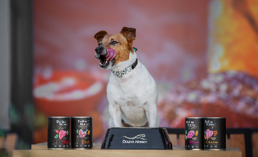 Changing a dog's diet—what is the proper way to do it?