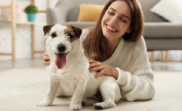 How should you feed a small-breed dog?