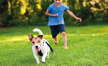Physical Activity and Metabolism