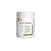 Dolfos Dolvit Gastro Supplement for Dogs and Cats—Supports Healthy Digestive Function—Powder, 80 g
