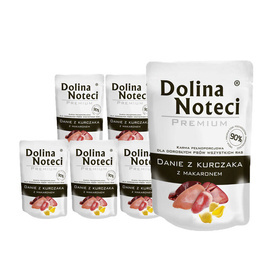 Dolina Noteci Premium Wet Food for Adult Dogs of All Breeds: Chicken and Pasta Meal, 10 x 100 g Set