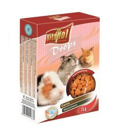Vitapol Dropsy Carrot Rodent Snacks 75g