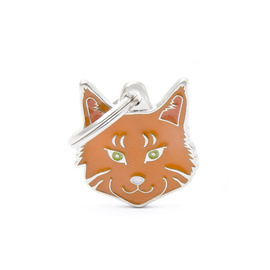 Engraved ID Tag for a Maine Coon Cat