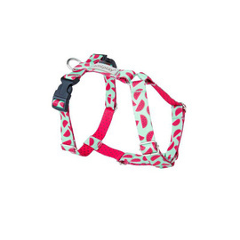 Amiplay Be Happy Guard L Watermelon Dog Harness