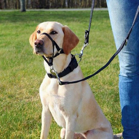 Trixie Top Trainer Dog Training Harness, Size L, 37 cm
