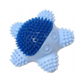 Hilton Smart Dog Starfish Dog Toy