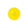 BUBA Dog Toy: Squeaky TPR Ball, Size S