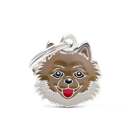 Engraved Name Tag for a Pomeranian Dog