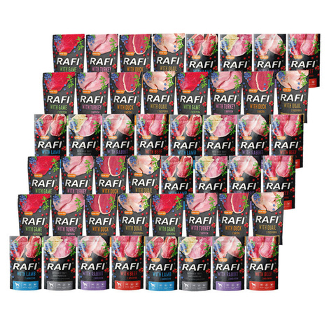 Rafi Mix Wet Dog Food, 48 x 500 g