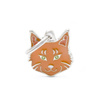 Engraved ID Tag for a Maine Coon Cat
