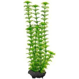 Tetra DecoArt Plant M Ambulia Aquarium Plant