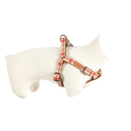 ZOLUX IMAO SCOTT 25 mm Red Harness