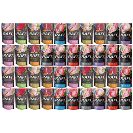 Rafi Wet Dog Food, Mixed Flavors, 40 x 500 g