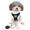 Black Mesh Harness with Leash, Size M, with Reflective Strips, for Cats and Small Dogs