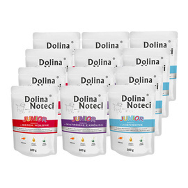 Dolina Noteci Premium Junior Mix Wet Dog Food, 12 x 300 g