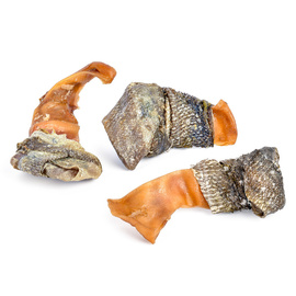 Petmex Dog Chew: Sliced Pork Ear Wrapped in Cod Skin, 3 pieces