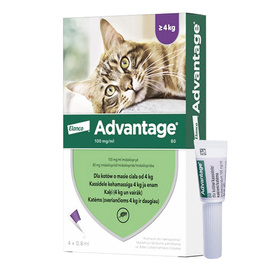 Elanco Advantage Flea Drops for Cats Weighing 4 kg or More, 0.8 ml, 4-Pack