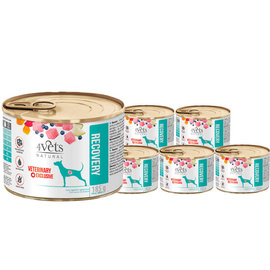 4Vets Natural Recovery Wet Veterinary Food for Dogs in Recovery, 6-Pack (185 g each)