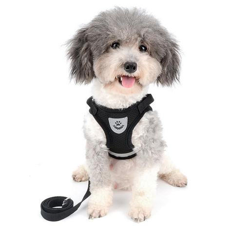 Black Mesh Harness with Leash, Size M, with Reflective Strips, for Cats and Small Dogs