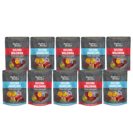 Dolina Noteci Premium Dry Cat Food with Beef and Lamb, 10 x 150 g Set