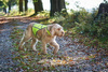 Hunter Reflective Traffic Vest for Dogs, size. S Waistcoat