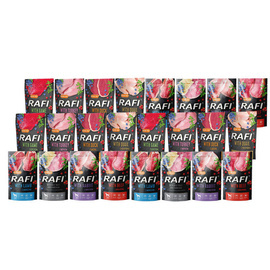 Rafi Mix Wet Dog Food, 24 x 500 g