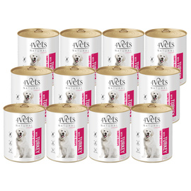 4Vets Natural Wet Dog Food with Turkey, 12-Pack (800 g each)