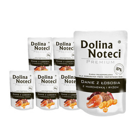 Wet food for adult dogs of all breeds Dolina Noteci Premium Salmon Meal with Carrots and Rice, 10 x 100 g set