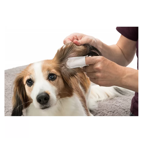 Trixie Finger Covers for Cleaning the Ears of Dogs, Cats, and Rodents, 50-pack