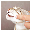 Trixie Cat Teeth-Brushing Kit, Toothpaste and Toothbrushes