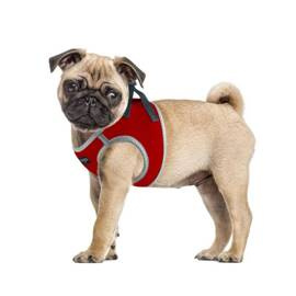 CHABA Protect Dog Harness, Bright Red, L