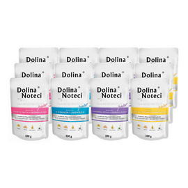 Dolina Noteci Premium Junior Mix Wet Dog Food, 40 x 100 g