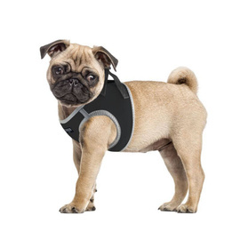 CHABA Protect Classic Black Dog Harness, Size S