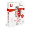 Over Zoo Bio Protecto Spot On for Kittens—Drops Made with Natural Essential Oils, 4 x 1 ml